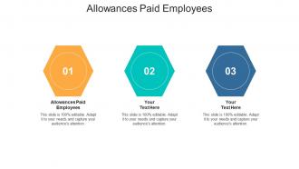 Allowances paid employees ppt powerpoint presentation styles objects cpb