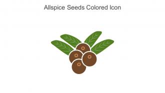 Allspice Seeds Colored Icon In Powerpoint Pptx Png And Editable Eps Format