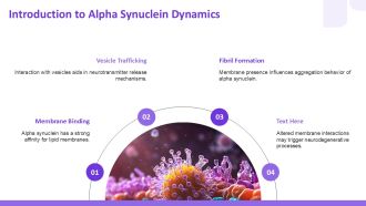 Alpha Synuclein Interaction With Membranes And Vesicles PPT Information AT Customizable Slides