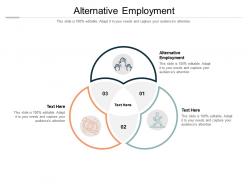 Alternative employment ppt powerpoint presentation infographics maker cpb
