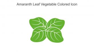 Amaranth Leaf Vegetable Colored Icon In Powerpoint Pptx Png And Editable Eps Format