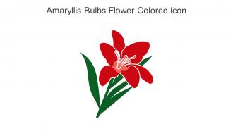 Amaryllis Bulbs Flower Colored Icon In Powerpoint Pptx Png And Editable Eps Format