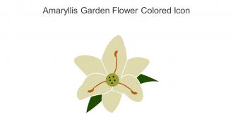 Amaryllis Garden Flower Colored Icon In Powerpoint Pptx Png And Editable Eps Format