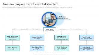 Amazon Marketing Strategy Amazon Company Team Hierarchal Structure