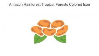 Amazon Rainforest Tropical Forests Colored Icon In Powerpoint Pptx Png And Editable Eps Format