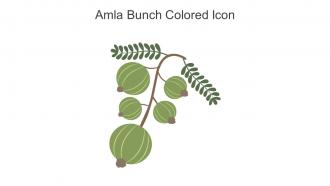 Amla Bunch Colored Icon In Powerpoint Pptx Png And Editable Eps Format