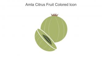 Amla Citrus Fruit Colored Icon In Powerpoint Pptx Png And Editable Eps Format