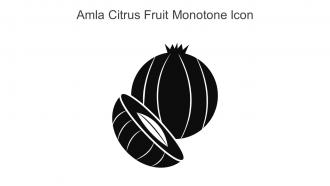 Amla Citrus Fruit Monotone Icon In Powerpoint Pptx Png And Editable Eps Format