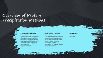 Ammonium Sulfate Precipitation Protein Purification PPT Template AT Images Informative
