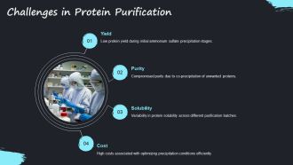 Ammonium Sulfate Precipitation Protein Purification PPT Template AT Designed Informative