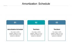 Amortization schedule ppt powerpoint presentation model graphic images cpb