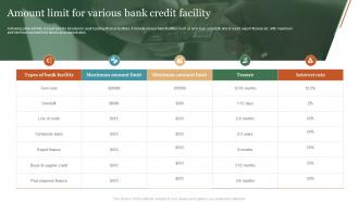 Amount Limit For Various Bank Credit Facility
