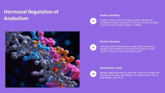 An Overview Of Anabolic Pathways In Metabolism PPT Slides AT Graphical Adaptable