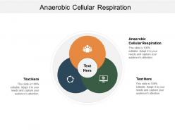 Anaerobic cellular respiration ppt powerpoint presentation infographic template layout cpb