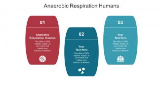 Anaerobic respiration humans ppt powerpoint presentation professional show cpb