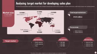 Analysing Target Market For Developing Sales Plan Sales Plan Guide To Boost Annual Business Revenue