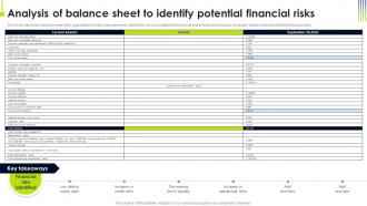 Analysis Of Balance Sheet To Identify Potential Operational Risk Management Strategic