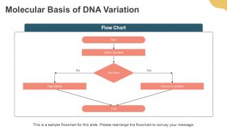 Analysis Of DNA Polymorphism Lecture PPT Presentation ACP Content Ready Engaging