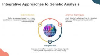 Analysis Of DNA Polymorphism Lecture PPT Presentation ACP Captivating Engaging