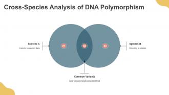 Analysis Of DNA Polymorphism Lecture PPT Presentation ACP Pre-designed Engaging