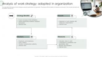 Analysis Of Work Strategy Adopted In Organization