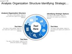 Analysis organization structure identifying strategic options selecting strategy