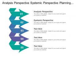 Analysis perspective systemic perspective planning organizing control team leadership