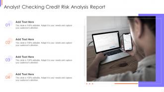 Analyst Checking Credit Risk Analysis Report