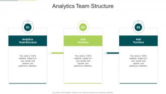 Analytics Team Structure In Powerpoint And Google Slides Cpb