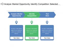 Analyze market opportunity identify competition selected target segment