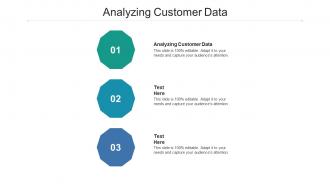 Analyzing customer data ppt powerpoint presentation gallery example cpb