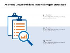 Analyzing Documented And Reported Project Status Icon
