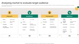 Analyzing Market To Evaluate Target Audience Implementation Guidelines For Sales MKT SS V