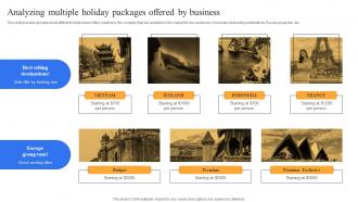 Analyzing Multiple Holiday Packages Complete Guide To Advertising Improvement Strategy SS V