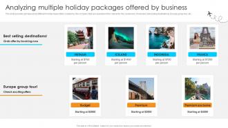 Analyzing Multiple Holiday Packages Offered Streamlined Marketing Plan For Travel Business Strategy SS V