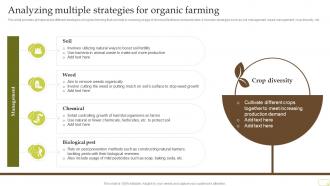 Analyzing Multiple Strategies For Organic Farming Complete Guide Of Sustainable Agriculture Practices
