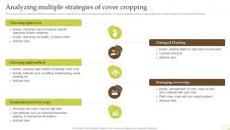 Analyzing Multiple Strategies Of Cover Cropping Complete Guide Of Sustainable Agriculture Practices