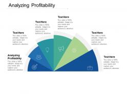 Analyzing profitability ppt powerpoint presentation show graphics example cpb