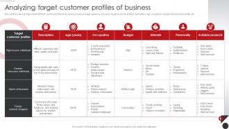 Analyzing Target Customer Profiles Planning Promotional Campaigns Strategy SS V