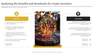 Analyzing The Benefits And Drawbacks For Crypto Investors Definitive Guide To Blockchain BCT SS V