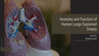 Anatomy And Function Of Human Lungs Explained Simply PPT Outline AT Anatomy And Function Of Human Lungs Explained Simply PPT Outline AT