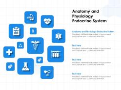 Anatomy and physiology endocrine system ppt powerpoint presentation icon guidelines