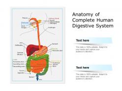 Anatomy of complete human digestive system