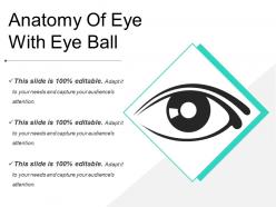Anatomy of eye with eye ball