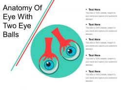 Anatomy of eye with two eye balls