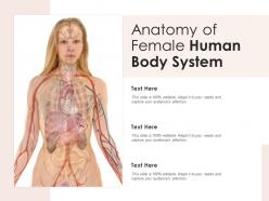 Anatomy of female human body system
