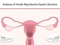 Anatomy of female reproductive system structure
