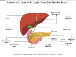 Anatomy of liver with cystic dust gall bladder body of pancreas