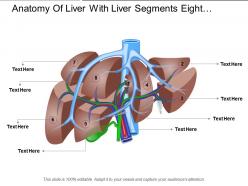 Anatomy of liver with liver segments eight segments