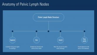 Anatomy Of Pelvic Lymph Nodes Pelvic Lymphadenopathy PPT Outline ACP